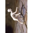 thumbnail image 3 of GRIMPEUR SUSPENDUE, 3 of 4