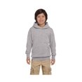 thumbnail image 1 of Hanes - Chandail à Capuchon pour Jeunes Ecosmart, 1 of 1
