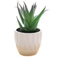thumbnail image 1 of Coofit Mini Potted Succulent Lifelike - Artificial Plant Faux Succulent in Pot for Home, 1 of 4