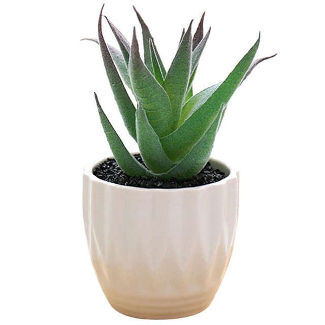 Coofit Mini Potted Succulent Lifelike - Artificial Plant Faux Succulent in Pot for Home