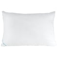thumbnail image 4 of Sertapedic X-Firm Support Gusset Standard/Queen Pillow, 4 of 4