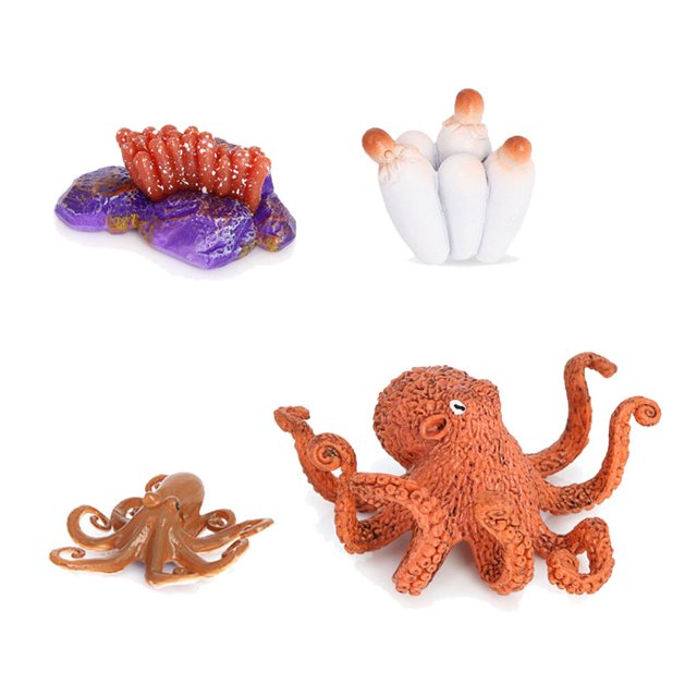 pitrice 1 Set Spade Worm Model Premium Plastic Material Meaningful Insect Figurines Early Educational Growing Models for School Project octopus type 1
