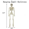 thumbnail image 2 of ZTTD 1 PCS Posable Halloween Skeleton Decor 16 Inches, Full Body Posable Joints Hanging Skeletons for Halloween Decorations, Graveyard Props, Haunted House Accessories, Front Lawn (Style2-Beige), 2 of 5