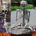 thumbnail image 2 of Décorations d'Halloween Accessoire Squelette Grandeur Nature - Modèle d'Anatomie Humaine Articulations du Corps Entier Articulées pour Fêtes et Événements Extérieurs, 2 of 7