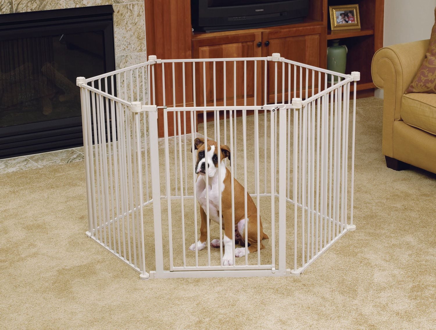 Parc convertible de Carlson Pet Products pour animaux