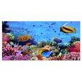 thumbnail image 2 of Coral Colony on Reef Egypt - Oversized Animal Wall Art, 2 of 3