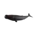 thumbnail image 1 of pitrice Realistic Whale Animal Model Education Soft Figure Kids Toy Sperm Whale, 1 of 8