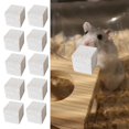 thumbnail image 3 of 10Pcs Stone Square Hamster Grinding Pet Supplies Chewing Toy, Rodent 3cm, 3 of 8