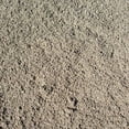 thumbnail image 2 of Coarse Sand, 2 of 3