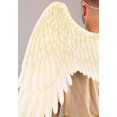thumbnail image 3 of Déguisement Aguichant Angel pour Homme, 3 of 5