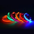 thumbnail image 3 of Pet Collar Cat Luminous Pet LED No Printed Luminous Safety Collar for Cats Dogs, 3 of 6