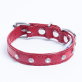 thumbnail image 2 of ATHENS Leather Dog Collar Single Row Rhinestones, 2 of 2