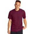 thumbnail image 1 of Hanes T-Shirt Sport Cool DRI Performance pour Hommes Lot de 2, TG, Marron, 1 of 4