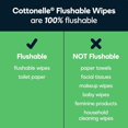 thumbnail image 4 of Cottonelle Lingettes Humides Jetables GentlePlus à l'Aloès et à la Vitamine E - 4 Paquets à Couvercle Rabattable, 168 Lingettes Jetables au Total, 4 of 12
