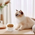 thumbnail image 1 of Ceramic Cat and Dog Food Dish with Slanted Design for Stable Non-Tip Feeding and Drinking, 1 of 4