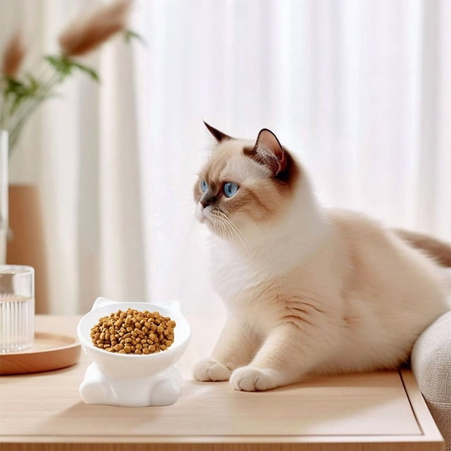 Ceramic Cat and Dog Food Dish with Slanted Design for Stable Non-Tip Feeding and Drinking