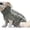 Grey, variant on TIMIFIS Dog Sweater Fashiom Pets Solid Winter Dog Sweater Knitted Warm Sleeveless Pet Clothes Dog Apparel & Accessories - Fall