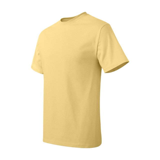 Hanes Men's Authentic-T T-Shirt - 5250T (Pack Of 3)
