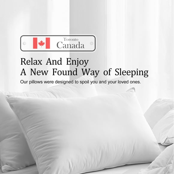 Highland Feather 625 Fill Power Strasbourg Soft King Size White Down Pillows (2 Count)