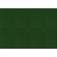 thumbnail image 1 of Ahgly Company Machine Washable Indoor Rectangle Transitional Green Area Rugs, 2' x 5', 1 of 7