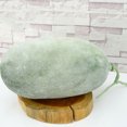 thumbnail image 2 of Quentinu Fake Wax Gourd Prop Artificial Vegetable Wax Gourd Home Kitchen Fake Vegetables Decor, 2 of 7