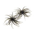 thumbnail image 3 of S SERENABLE 2 Pcs Leurres de Pêche avec Hameçons Réalistes Extérieur Portables Leurres à Truite Leurre de Pêche Swimbait pour Lac Crapet Vivaneau Perche Vert, 3 of 7