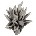 thumbnail image 1 of Vickerman H2STA300 Capsule Étoile Gris Délavé 6-11 Po, 1 of 1