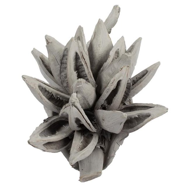Vickerman H2STA300 Capsule Étoile Gris Délavé 6-11 Po