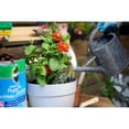 thumbnail image 2 of Miracle-Gro Moisture Control Potting Soil Mix 25L, 2 of 5