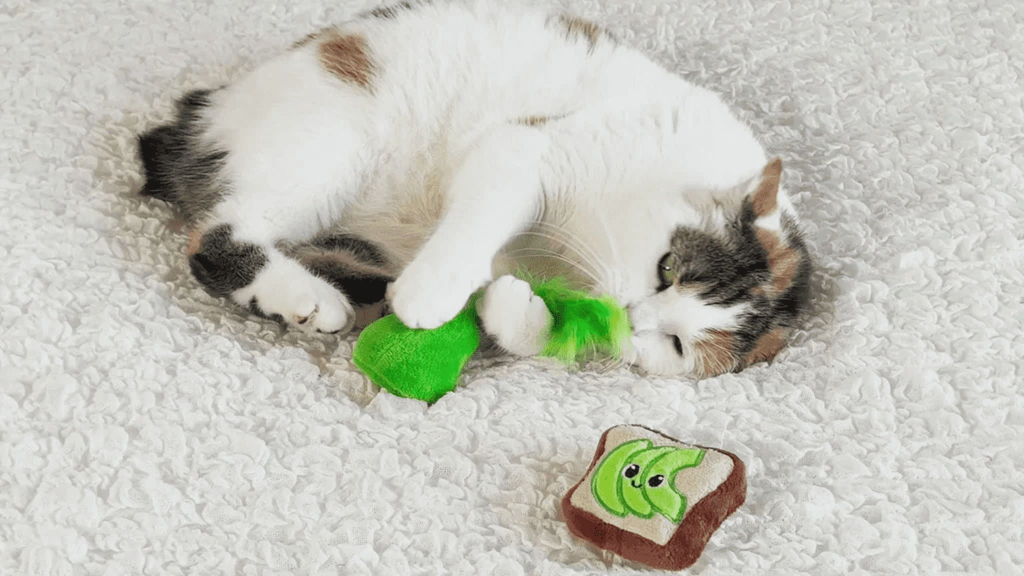 Quirky Kitty Toast à l'Avocat Herbe à Chat Peluche Lot de 2 Jouet pour Chat