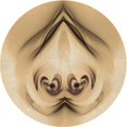 thumbnail image 1 of Ahgly Company Tapis d'Intérieur Rond Lavable en Machine Brun Cannelle Transitionnel, 5 Pieds Rond, 1 of 7
