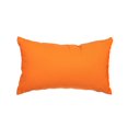 thumbnail image 1 of Gouchee Home Soleil Rectangle Indoor/ Outdoor Cushion, 1 of 3