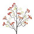 thumbnail image 1 of <p>Artificial Berry Simulation Fruit Green Plant Pot Christmas Red Fruit Rich Fruit Red Fruit Simulation Flower Plant</p>, 1 of 6