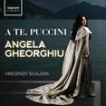 thumbnail image 1 of Te Puccini, 1 of 1