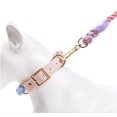 thumbnail image 4 of Dog Rope with Soft Leather Handle Thick Dog Lead Leash for Large Medium Small Dogs (Mint Green, 120cm*1.2cm), 4 of 7