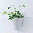 thumbnail image 4 of Suncoda Office Storage & Organization, Organization and Storage Automatic Water Absorbing Flowerpot Plastic Circular Flowerpot, 4 of 6