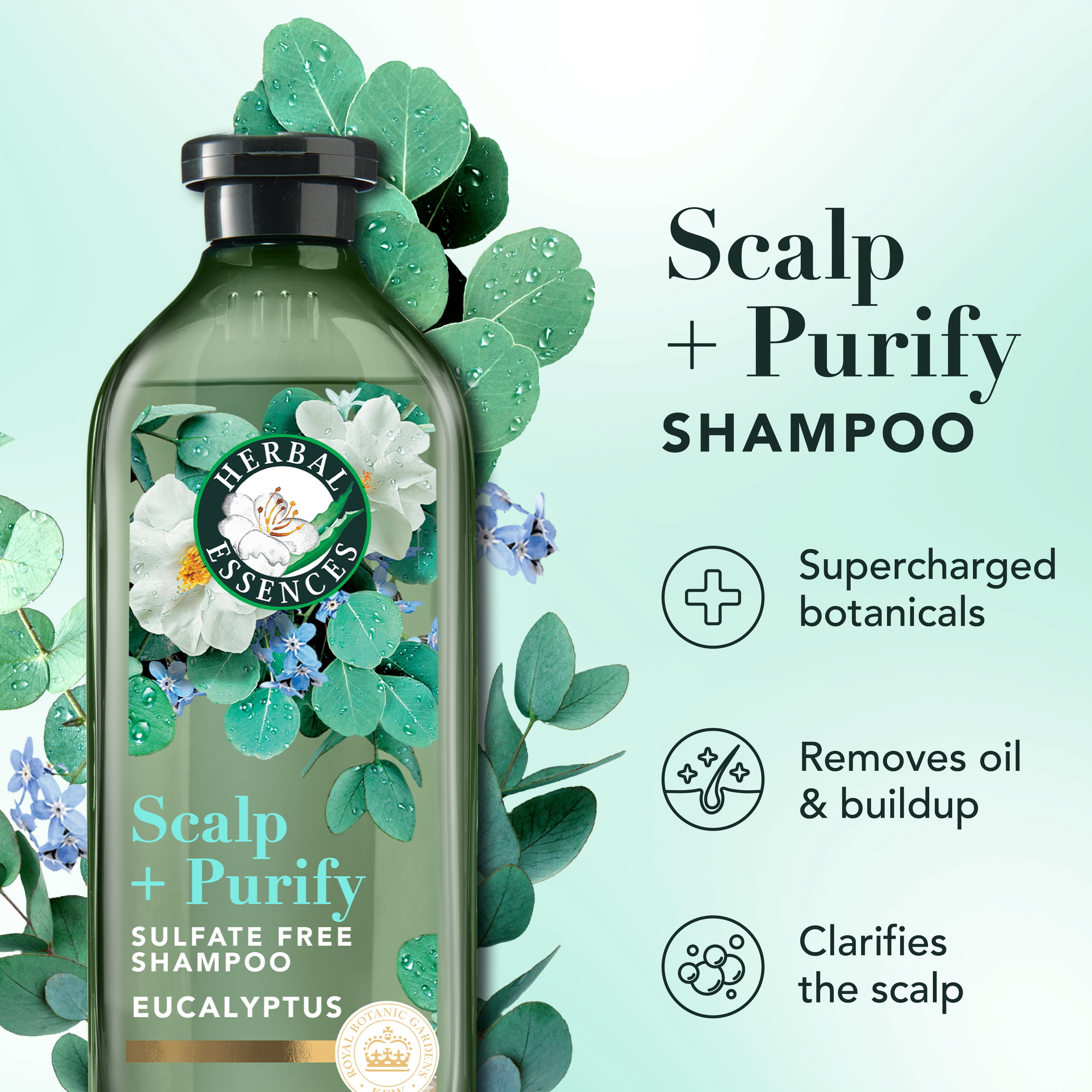 Shampooing Herbal Essences Cuir Chevelu et Purification, Nettoie Le Cuir Chevelu Pour Des Cheveux Doux, Eucalyptus, Sans Sulfate, 400 mL