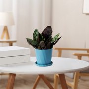 Cagogo Flower Pot with Saucer, Scandinavian Style Resin Plant Pots for Indoor Plants Outdoor Plants, Thickened Durable Plastic Imitation Ceramic Garden Pots, Large Gallon Size Flower Pots for Home