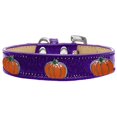 thumbnail image 1 of Citrouille Widget Chien Collier Crème Glacée Violet Taille 20, 1 of 1