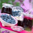 thumbnail image 4 of Bulbs are Easy Fruit Plant - Blueberry Assortment, 4 of 4