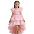 thumbnail image 3 of HXWCHs Robe à Boutons Robe Élégante Formelle pour Filles avec Traîne Détachable Concours Fête Mariage Robe de Récital Rose Pâle 3-4 Ans, 3 of 7