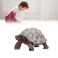 thumbnail image 3 of Modèle d'Animal Marin Réaliste, Jouets Éducatifs Cognitifs pour Enfants Modèle de Tortue Simulation Figurines Cadeau Décoration, 3 of 9