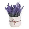 thumbnail image 4 of Lavender Potted Plant Arrangement Flower Flower Pot for Hotel Kitchen Office A, 4 of 8