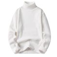 thumbnail image 1 of Men's Solid Knit Turtleneck, 1 of 7