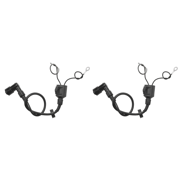 2X Boat Ignition Coil Assy for 40HP 50HP 2 Stroke 3 Cylinder Outboard Motor Engine 6H5-85570 Boat Accessories,2 x Boat Ignition Coil,Black