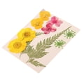 thumbnail image 1 of Vaidha Dried And Embossed Flowers For Resin Kit Candles And Crafts, 1 of 1