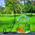thumbnail image 4 of Vase Fishbowl Transparent Hanging Glass Creative Decor Fish Tank for Living Room, 4 of 6
