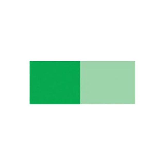 Chartpak GBC162P Peinture Acrylique 75 ml Vert Permanent Clair