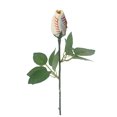 thumbnail image 1 of TopLLC Storage Bins Softball Roses / Cadeaux de Softball Softball Cuir Cadeau de la Fête des Mères-Sport Cuir Rose R Ro Sacs de Rangement, 1 of 2