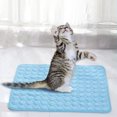 thumbnail image 1 of <p>Dog Ice Pad, Heat Dissipation Breathable Comfortable Safe Fashionable Easy Cleaning Pet Cooling Mat  For Summer For Outdoor</p>, 1 of 8